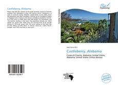Buchcover von Castleberry, Alabama