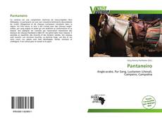 Bookcover of Pantaneiro