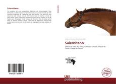 Buchcover von Salernitano