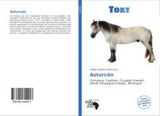 Bookcover of Asturcón