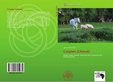 Buchcover von Caspien (Cheval)