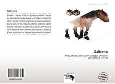 Buchcover von Galiceno