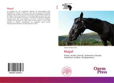 Bookcover of Huçul