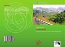 Buchcover von Wallenried
