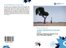 Bookcover of Julián Baldomero Acuña Galé