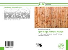 Capa do livro de Igor Diogo Moreira Araújo 