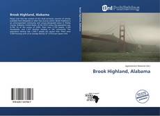 Bookcover of Brook Highland, Alabama