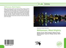 Capa do livro de Williamson, West Virginia 