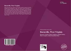 Portada del libro de Burnsville, West Virginia