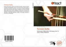 Bookcover of Terreon Gully