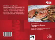 Wanderson Souza Carneiro的封面