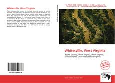 Capa do livro de Whitesville, West Virginia 
