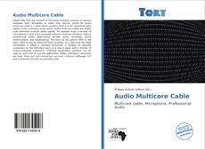 Audio Multicore Cable的封面
