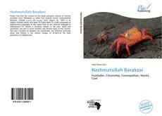 Buchcover von Hashmatullah Barakzai