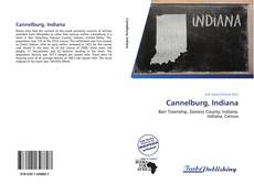 Portada del libro de Cannelburg, Indiana