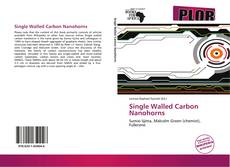 Capa do livro de Single Walled Carbon Nanohorns 