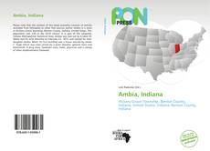 Bookcover of Ambia, Indiana
