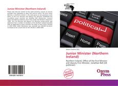 Bookcover of Junior Minister (Northern Ireland)