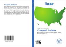 Bookcover of Claypool, Indiana