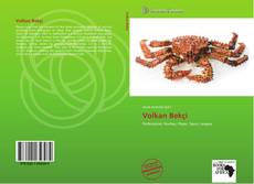 Bookcover of Volkan Bekçi