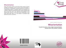 Bookcover of Misorientation