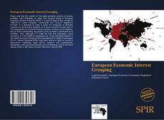 Capa do livro de European Economic Interest Grouping 