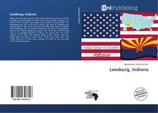 Portada del libro de Leesburg, Indiana