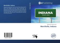 Merrillville, Indiana kitap kapağı