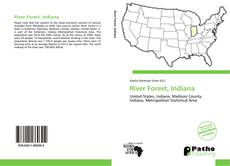 Capa do livro de River Forest, Indiana 