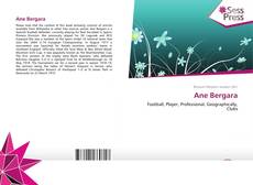 Capa do livro de Ane Bergara 