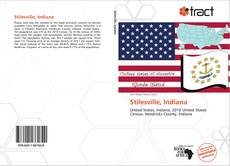 Bookcover of Stilesville, Indiana