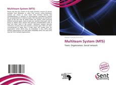 Portada del libro de Multiteam System (MTS)