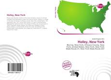 Bookcover of Holley, New York