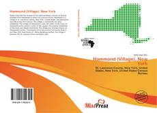 Bookcover of Hammond (Village), New York