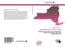 Capa do livro de Lyndonville, New York 