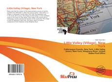 Little Valley (Village), New York kitap kapağı