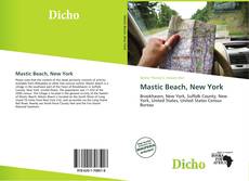 Mastic Beach, New York kitap kapağı