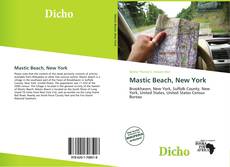 Capa do livro de Mastic Beach, New York 