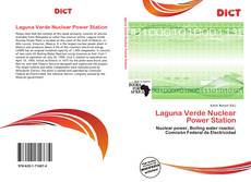 Bookcover of Laguna Verde Nuclear Power Station