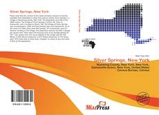 Silver Springs, New York的封面