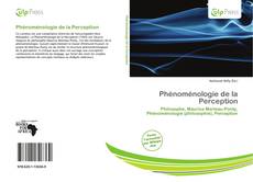 Buchcover von Phénoménologie de la Perception