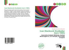 Capa do livro de Ivan Stanković (footballer born 1983) 
