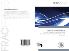 Bookcover of Cabinet Balkenende III
