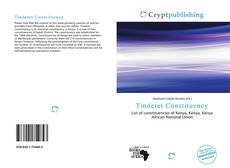 Bookcover of Tinderet Constituency