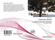 Bookcover of Indianola, Illinois