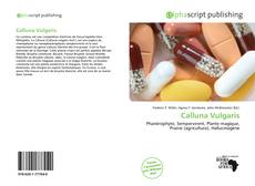 Borítókép a  Calluna Vulgaris - hoz