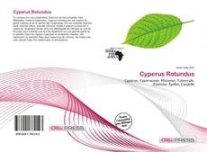 Cyperus Rotundus kitap kapağı