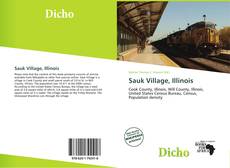 Buchcover von Sauk Village, Illinois