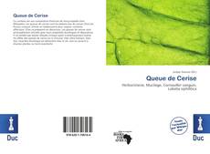 Buchcover von Queue de Cerise