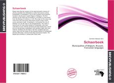Bookcover of Schaerbeek
